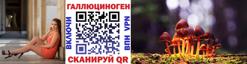 Псилоцибиновые грибы прущие грибы  Купить  Пласт 